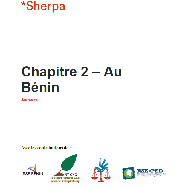 Rapport diagnostic RSE au Bénin